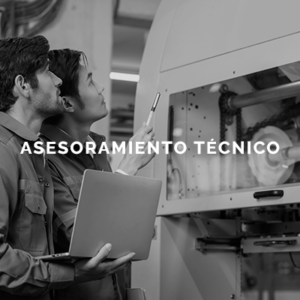 Servicios: Asesoramiento técnico